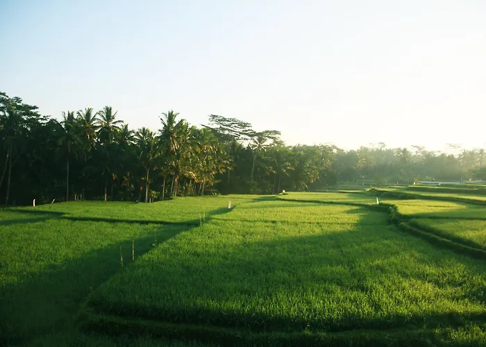 Greenfield Luxury Villa