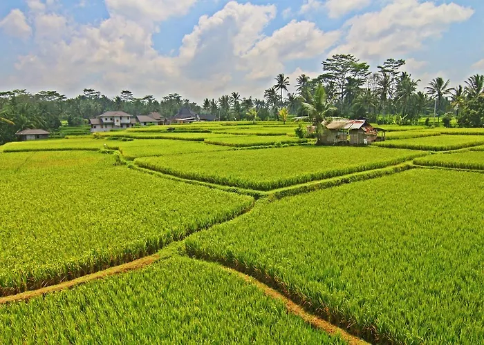 Greenfield Luxury Ubud