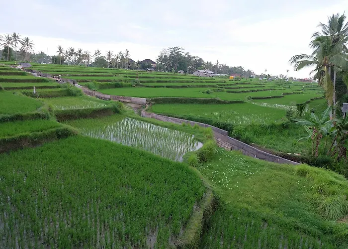Greenfield Luxury Ubud