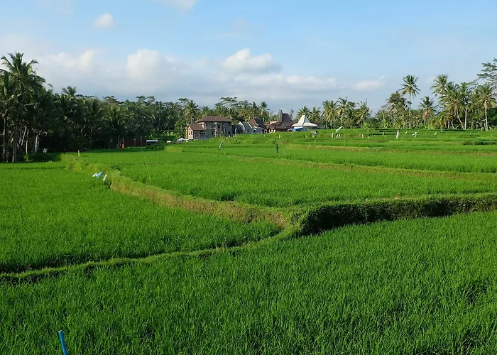 Greenfield Luxury Villa Ubud