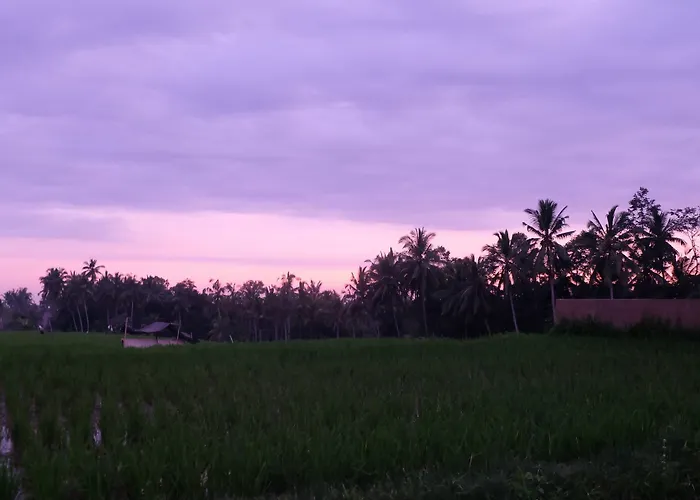Greenfield Luxury Ubud