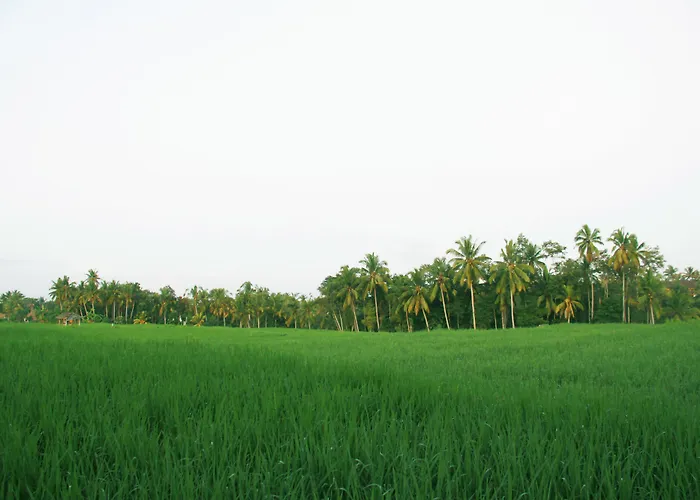 Greenfield Luxury Villa Ubud